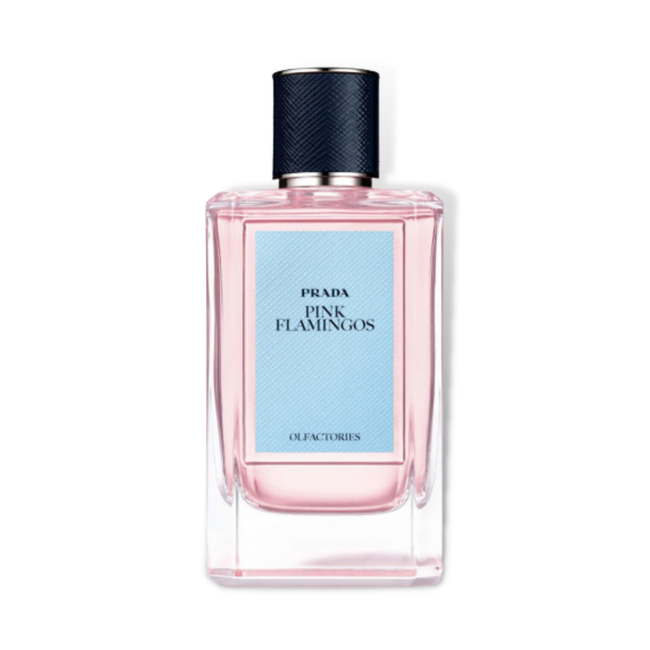 Pink Flamingos Prada - Unisex | Catwa Deals